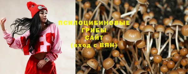 винт Аркадак